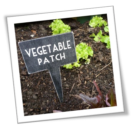 vege-patch