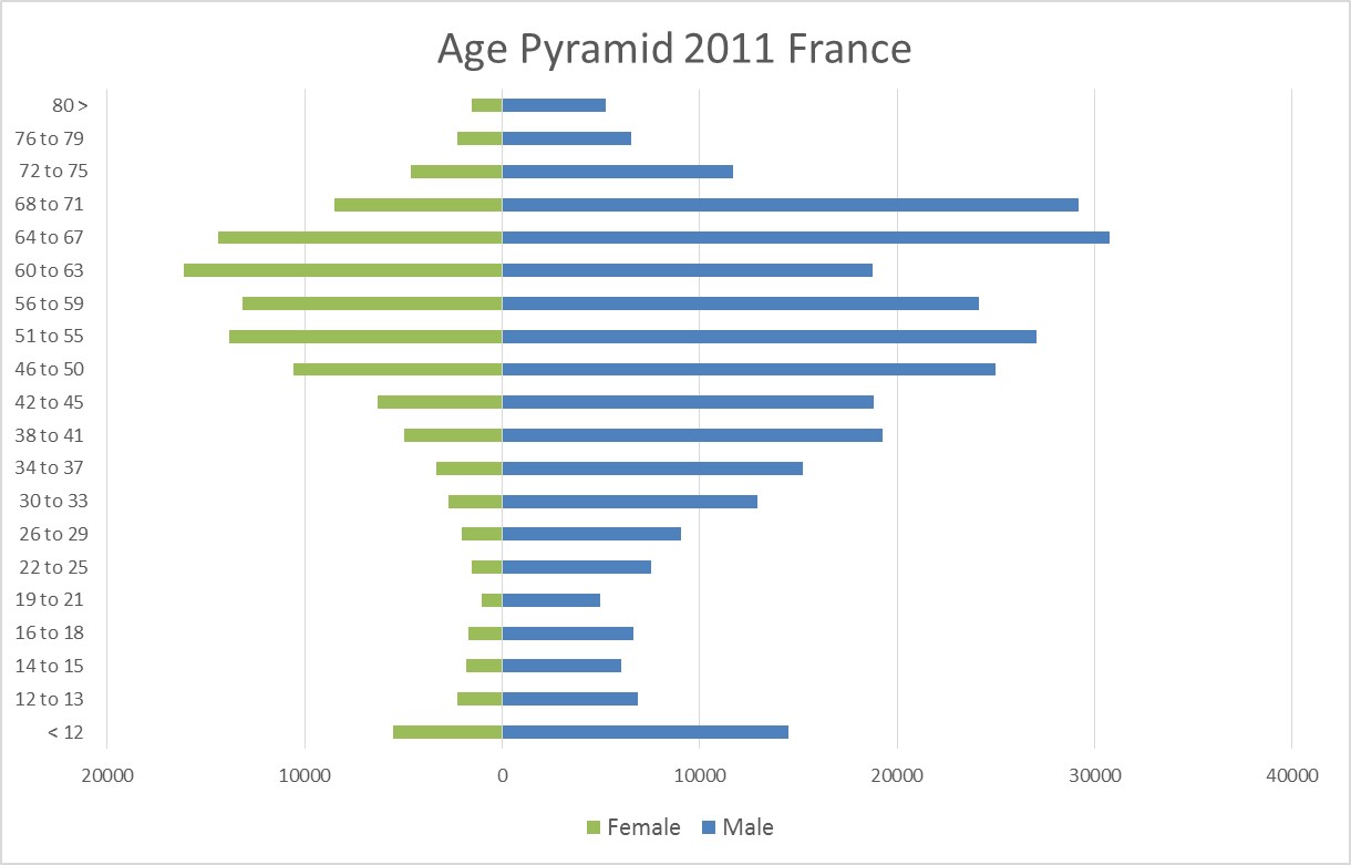 Age pyramid 2011