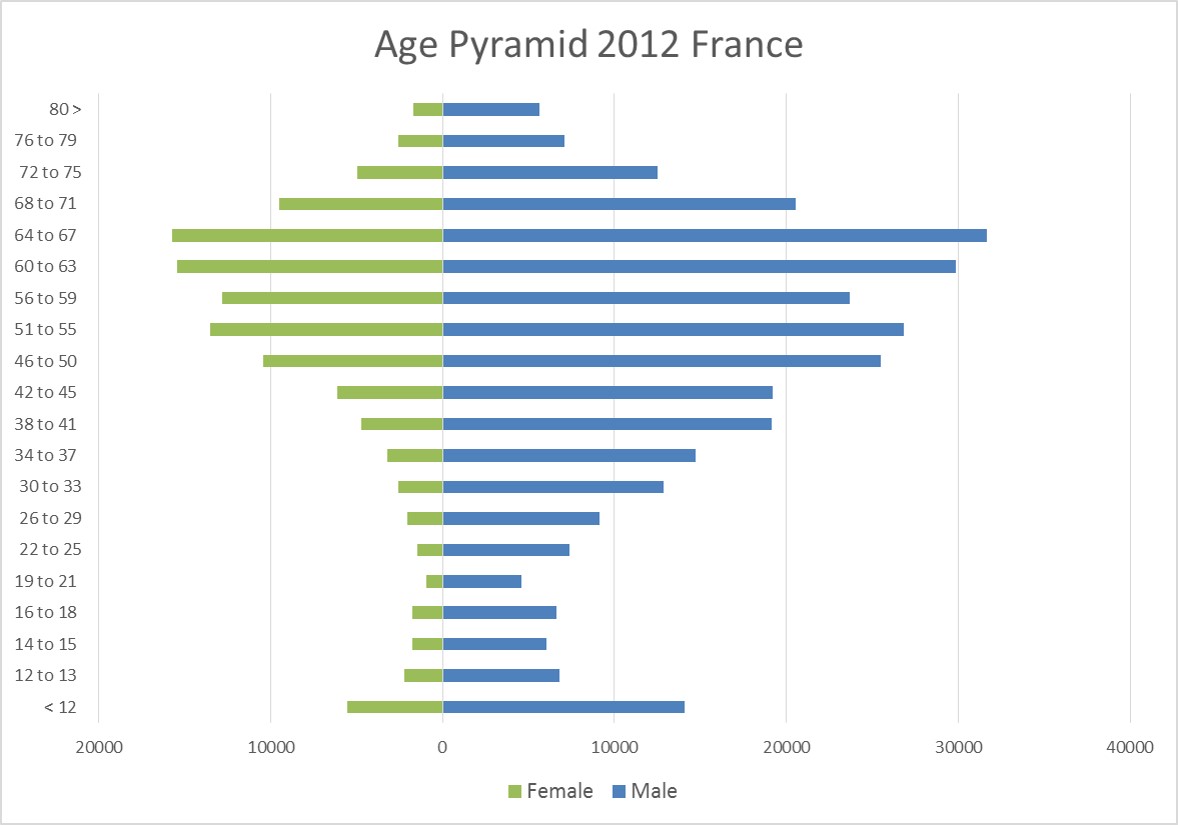 Age pyramid 2012