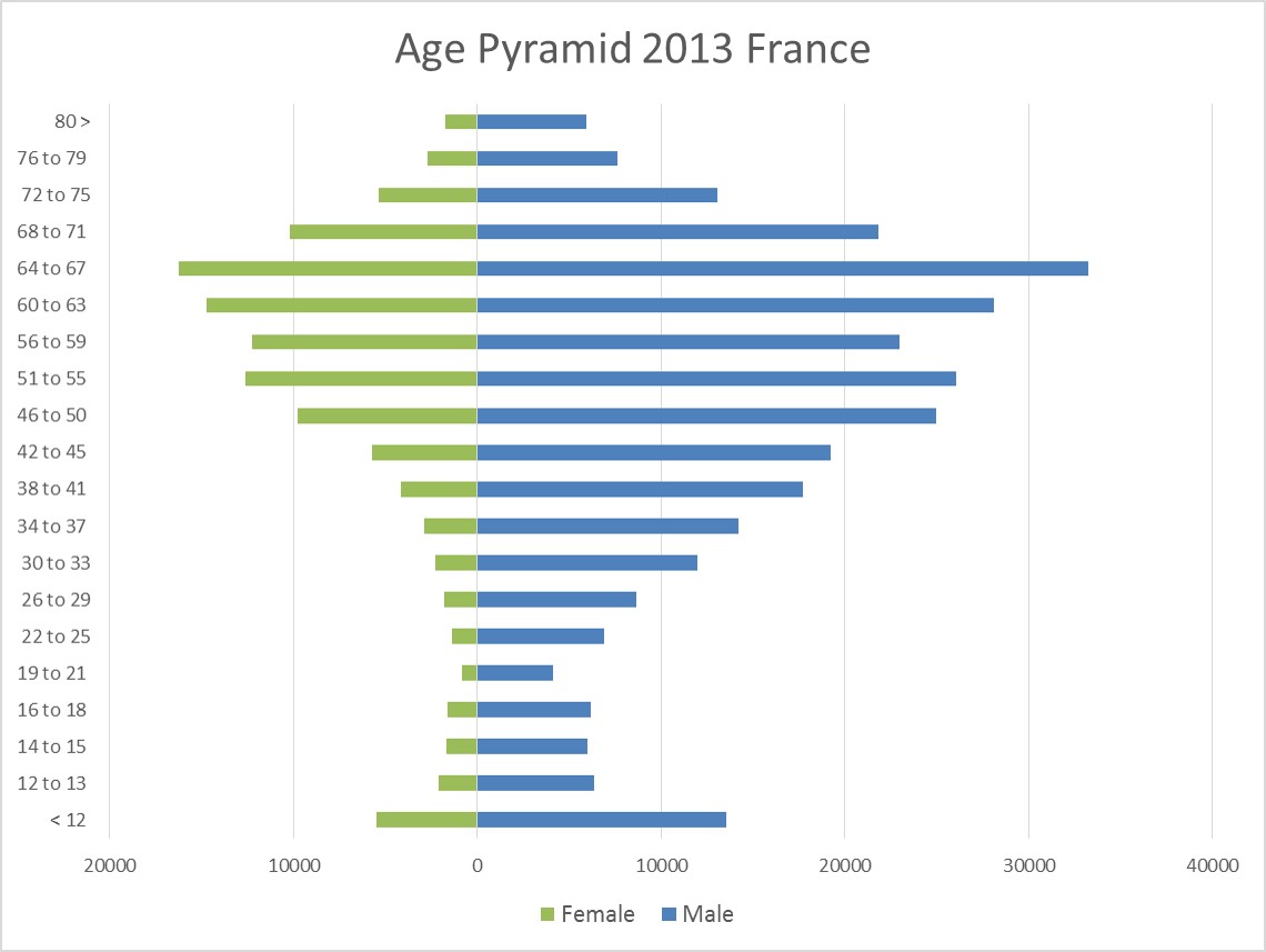 Age pyramid 2013