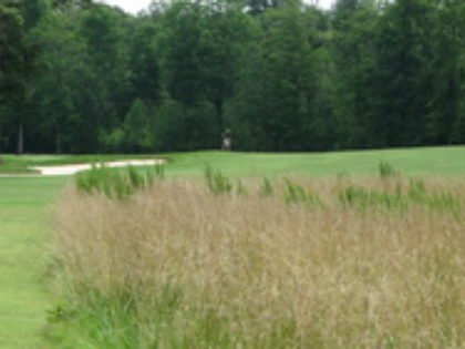 Native Grass Areas and Movement Corridors